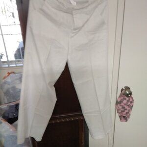 White Slim s/p Dress Pants
